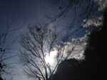 days