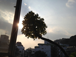 days