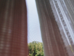 days