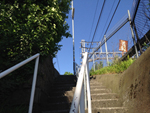 days